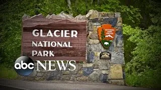 Bear Attack at Glacier National Park