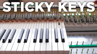 Digital Piano Slow/Stuck Keys Repair
