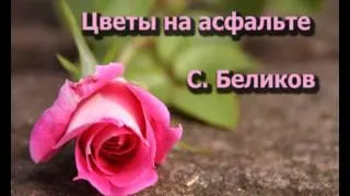 С. Беликов - Цветы на асфальте