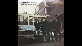 Shake Some Action (album version) - The Flamin' Groovies