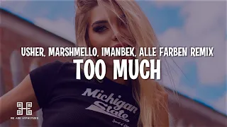 Usher - Too Much (with Marshmello & Imanbek) (Alle Farben Extended Remix) (Lyrics)