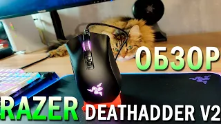 ПЕРЕОСМЫСЛЕНИЕ КЛАССИКИ // Обзор игровой мышки Razer Deathadder V2