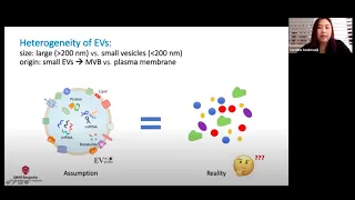 Delving into the diversity of Extracellular Vesicle markers by Carolina Soekmadji