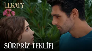 A surprise proposal from Ali to Duygu | Legacy Episode 445