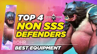 Top 4 Best Non SSS Defender Heroes | Eternal Evolution