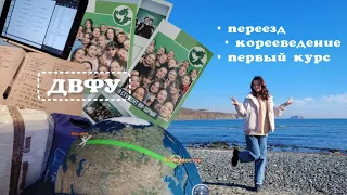 первый курс // переезд, корееведение, двфу | мой опыт