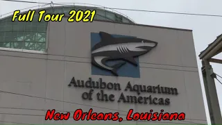 The Audubon Aquarium of the Americas Full Tour - New Orleans, Louisiana