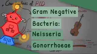 Gram Negative Bacteria: Neisseria gonorrhoeae