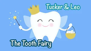 Fun Bedtime Story For Kids | Tucker & Leo - Tooth Fairy