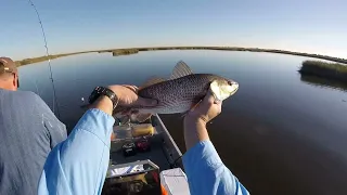 Fishing in Golden Meadow, LA