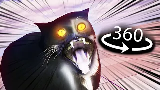 360° Maxwell The Cat ATTACKS YOU!