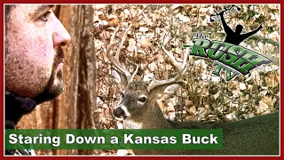 Staring down a big buck kansas deer hunting