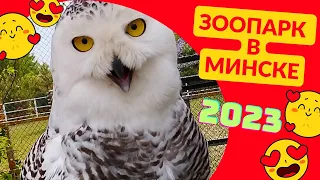 Зоопарк в Минске 2023. Минский зоопарк Экскурсия в зоопарк и динопарк в Минске
