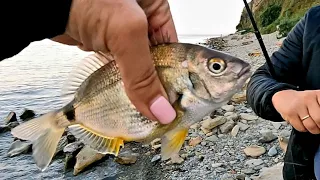 Рыбалка в Анапе , высокий берег , сарган , морской карась , окунь , Fishing in Anapа