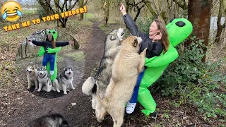 Would Your Dog Save You?? Alien Abduction Prank!! (Harley Gets A Nasty Surprise!)