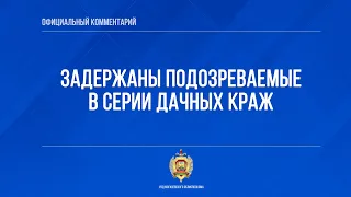 Задержаны подозреваемые в серии дачных краж в Могилевской области
