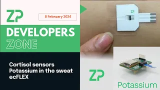 ZP Developers Zone Webinar 8 February 20123