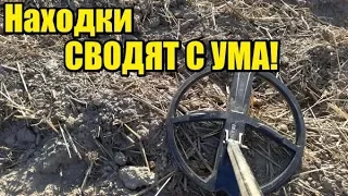 КРИЧАЛ ОТ СЧАСТЬЯ!!!! ВОТ ЭТО НАХОДКИ!!!! Коп осень 2019 Поиск монет.