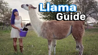 Llama Care + Farm Guard Guide