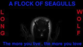 A flock of seagulls - The more you live , the more you love - Extended Wolf