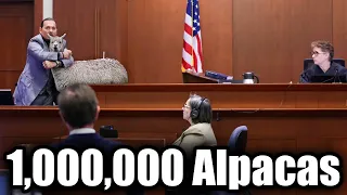 WHAT IF... Johnny gets a Million Alpacas ?