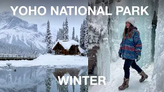 Most Underrated National Park in WINTER: Emerald Lake Lodge, Natural Bridge, Wapta Falls