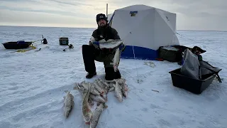 ЗА ЧТО 10000 ЗАПЛАТИЛ. ТАК и НЕ ПОНЯЛ. Рыбалка на судака.