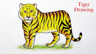 Tiger Drawing (full body) EASY | बाघ का चित्र | How to Draw a Tiger | Animal Drawing