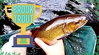 HOW TO Catch a TROPHY TROUT!