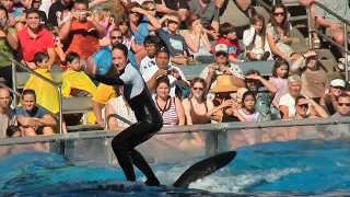 Awesome SeaWorld - Acrobatic Killer Whales (Orcas) and Trainers in the Water