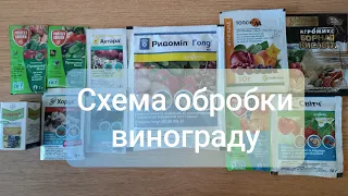 Схема обробки винограду на сезон