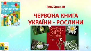 ЯДС  1 клас Урок 40 ЧЕРВОНА КНИГА УКРАЇНИ - РОСЛИНИ Бібік