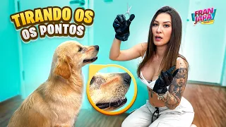 TIREI OS PONTOS DO MEU CACHORRO ! - Fran Japa