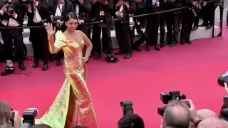 Julie Gayet and more on the red carpet for A Hidden Life in Cannes