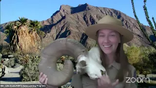 Learn about the Desert at Anza-Borrego Desert State Park