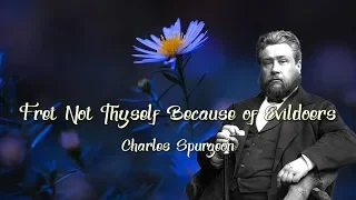 Psalms 37 - Fret Not Thyself Because of Evildoers by Charles Spurgeon