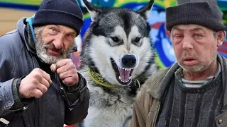 БОМЖИ УКРАЛИ СОБАКУ / bums stole a dog