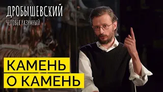 Технологические достижения древности // Дробышевский. Человек разумный