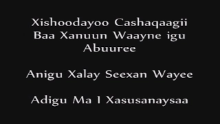 CAAQIL YARE 2016 XASILI LYRICS