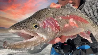 Ice Fishing STRIKE MISSION for LARGE TROUT with The Legendary Mark Armstrong using ICE FIRE JIGS