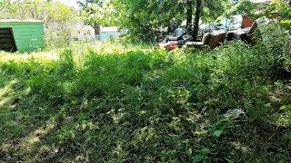 THE LAST CITY VIOLATION LAWN CUT ON THIS  ABANDON HOUSE