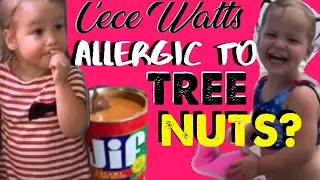 Watts Murders|Cece Watts Allergic To Tree Nuts? Let's Investigate Shanann Watts Claims About Nutgate