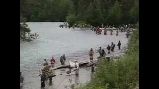 Combat Fishing: Anglers Crowd Confluence of Russian and Kenai Rivers