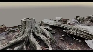 Log NeRF vs Photogrammetry