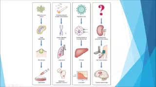 Pathology - Introduction and disease nomenclature