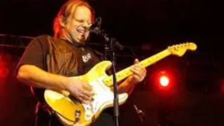 Walter Trout_Blues for my baby (Live/Reworked)