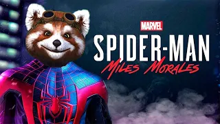 ЧЕЛОВЕК ПАУК ПРОТИВ НОСОРОГА! РОККИ ИГРАЕТ В SPIDER MAN: MILES MORALES НА PLAYSTATION!