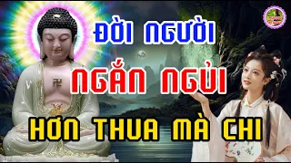 Đời Người Ngắn Ngủi Hơn Thua Mà Chi - Suy Ngẫm Cuộc Sống