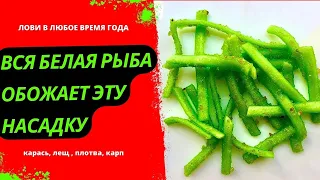 Насадка для рыбалки на КАРАСЯ, ЛЕЩА, КАРПА. КЛЮЁТ ВСЯ БЕЛАЯ РЫБА.