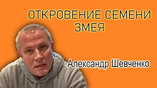 Возлюби себя как Бога / Искушение "иисуса" по А. Шевченко